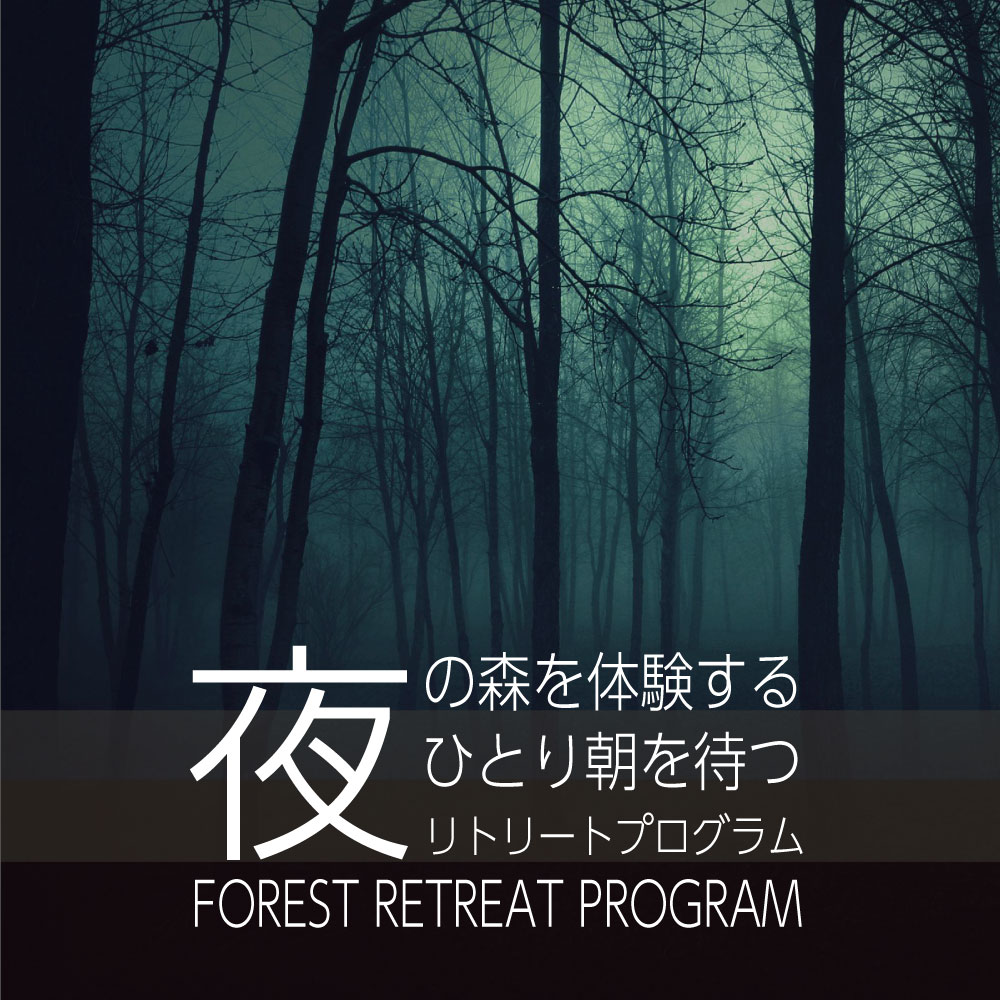 鎌倉の森